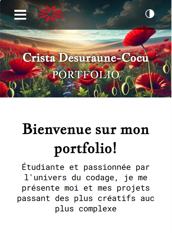 version téléphone du site web